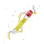 Comprehensive Blood Work Panel