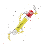 T3 | Free Blood Test